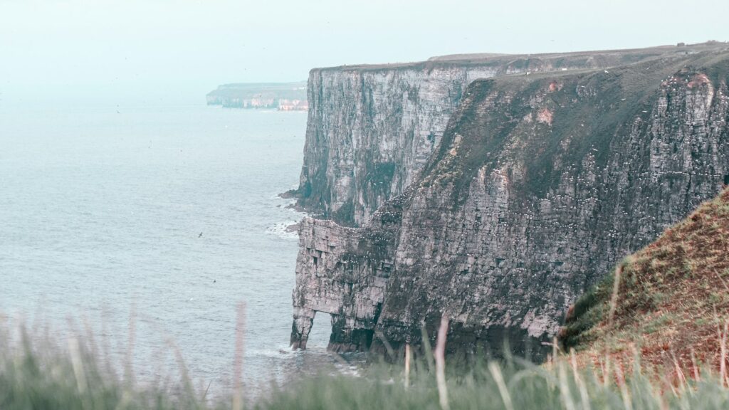 The chalk cliffs at RSPB Bempton Cliffs near Bridlington