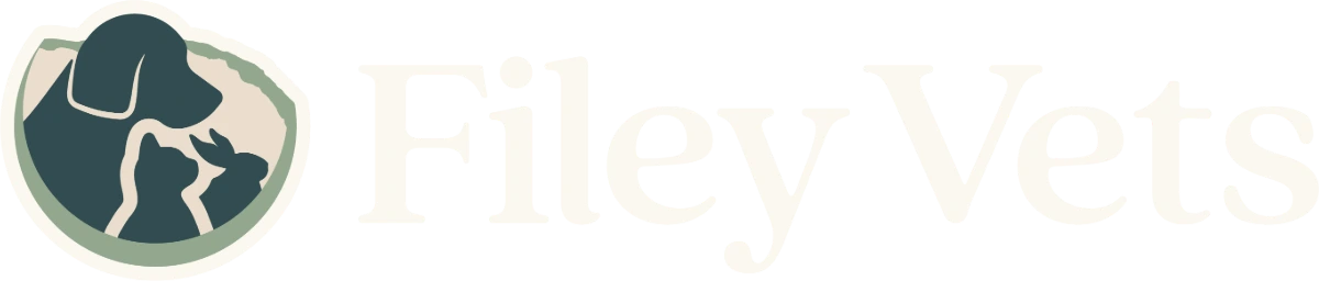 Filey Vets